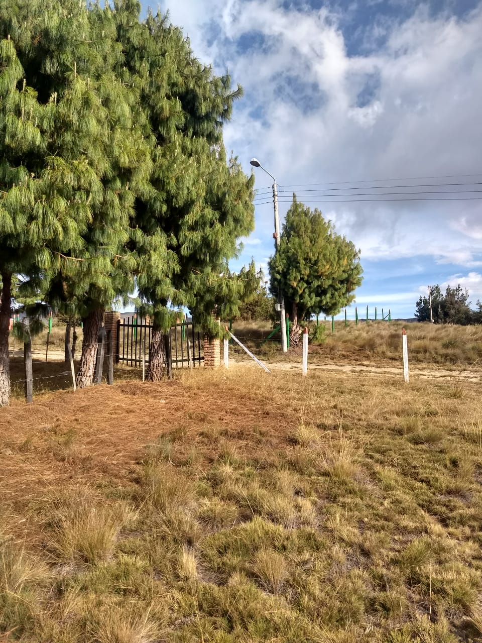 LOTE